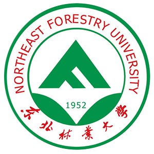 西北民族大学