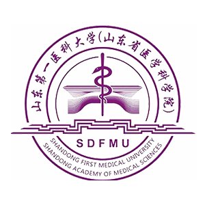 韦德足球app入口