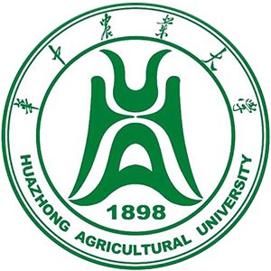 本科毕业生