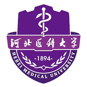 韦德足球app入口
